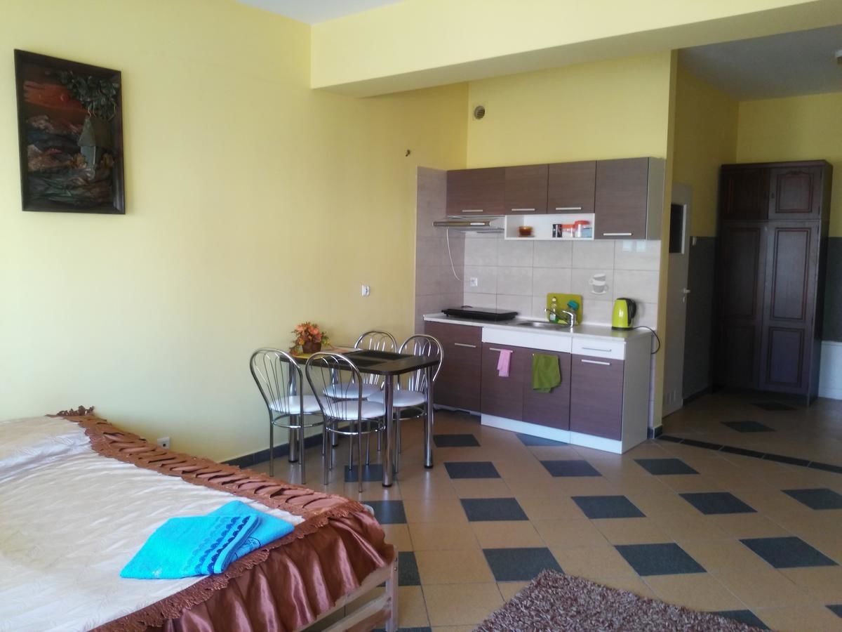 Апартаменты Apartamenty Sokółka Сокулка-30