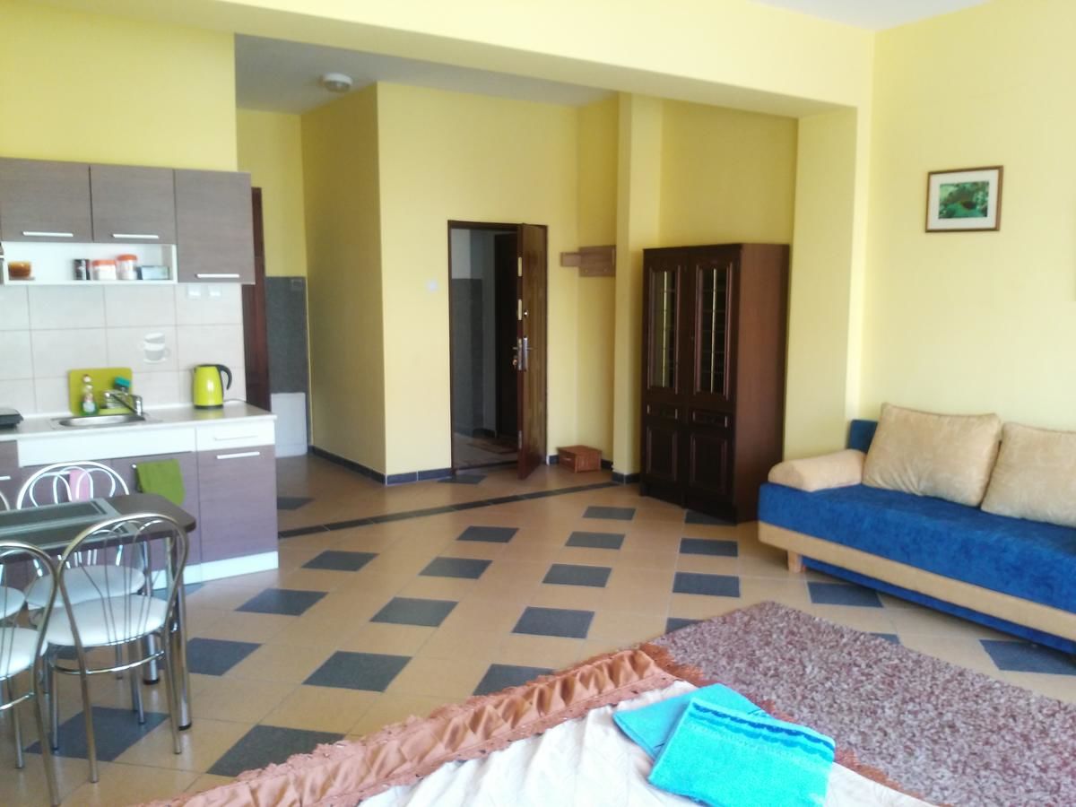 Апартаменты Apartamenty Sokółka Сокулка-31